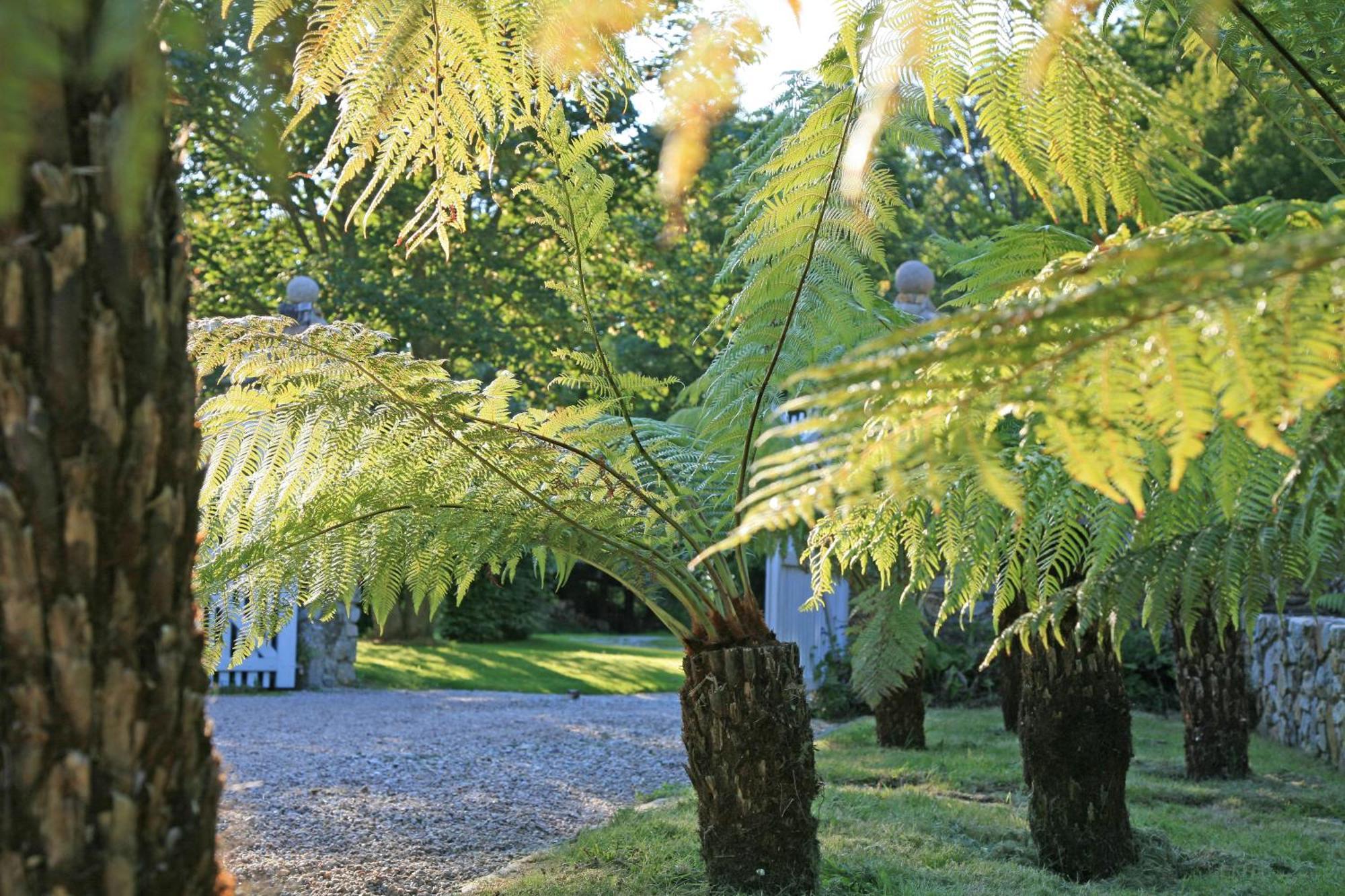 Gite Des Fougeres Cherbourg-en-Cotentin Exterior photo